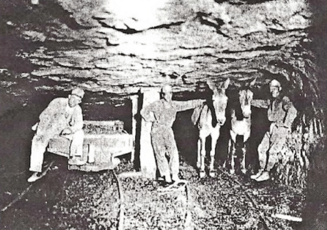 BUENA VISTA MINE BATTLE (1874) – Pittsburgh Labor History Trail